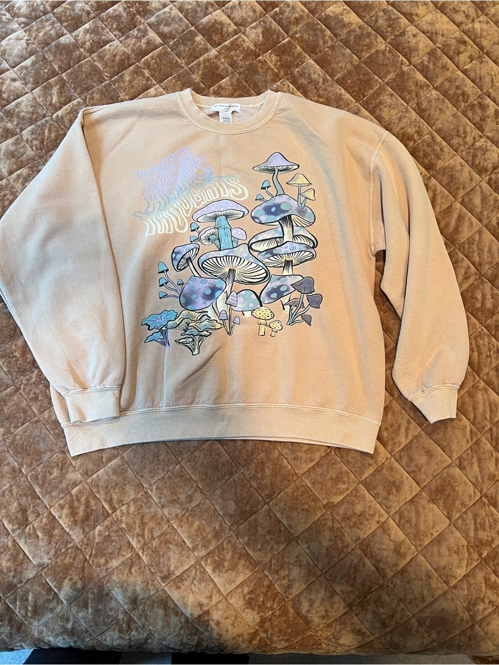 Urban Outfitters Project Social T “Warm Happy Thoughts” Mushroom Sweatshirt L/XL